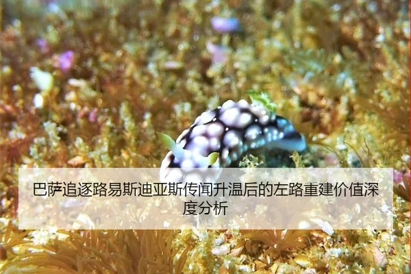 巴萨追逐路易斯迪亚斯传闻升温后的左路重建价值深度分析