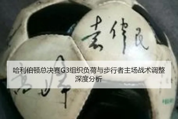 ha-li-bo-dun-zong-jue-sai-zu-zhi-fu-he-yu-bu-xing-zhe-zhu-chang-zhan-shu-tiao-zheng-shen-du-fen-xi-2-271.jpg